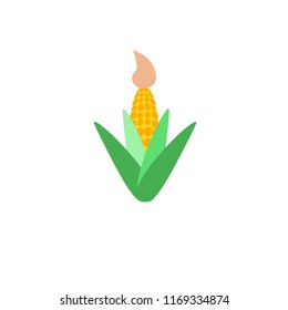 corn vector illustration