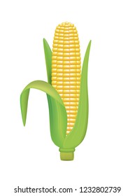 Corn. vector illustration