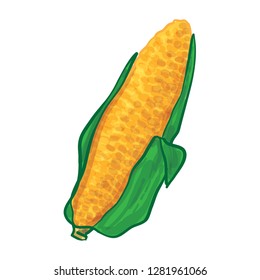 Corn Vector Illustration