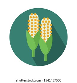 corn vector illustration corn vector illustration