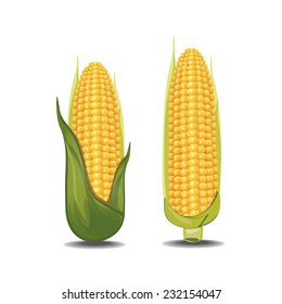 corn vector illustration