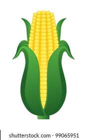 Corn. Vector illustration.