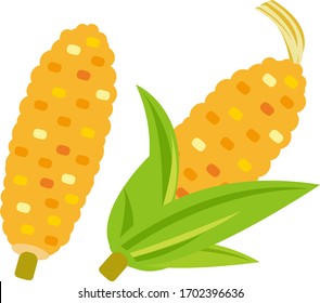 Corn Vector Illustration, Cereal Illustration . 