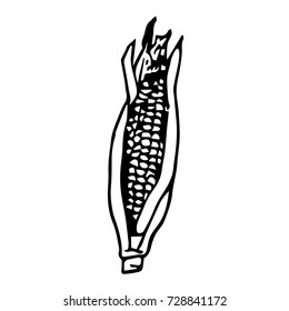 Corn vector illustration. Doodle style. Design icon, print, logo, poster, symbol, decor, textile, paper.