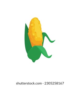 Corn vector illustration, corn flat icon