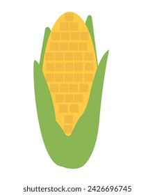 Corn vector illustration. Corn hand drawing