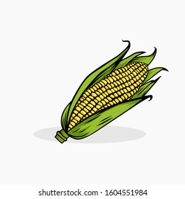 Corn vector illustration isolated for all purpose