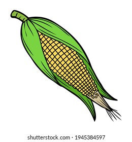 corn vector illustration,
isolated on white background.top view