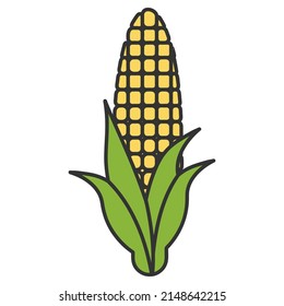 Corn. Vector illustration isolated on white background.
Corn logo.