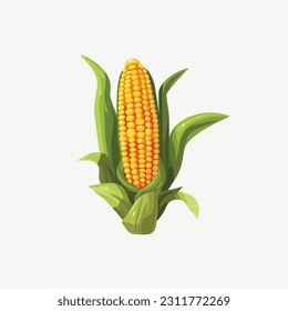 Corn vector illustration isolated on white
