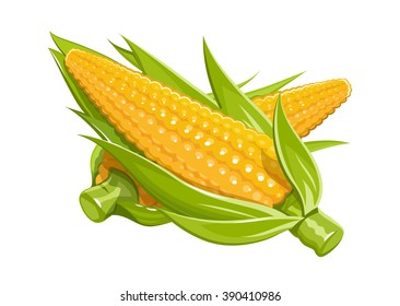 Corn vector illustration. Isolated white background. Transparent objects used for lights and shadows drawing