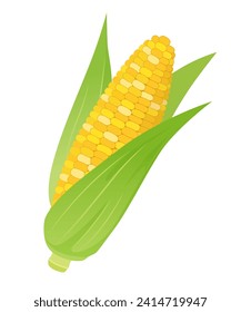 Corn vector illustration material vegetable