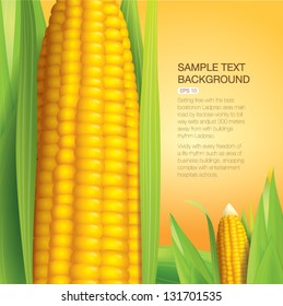 Corn vector illustration on yellow background, page design EPS10.