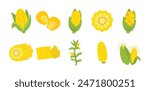 Corn Vector Illustration Set Collection
