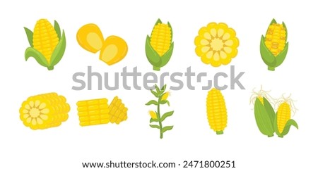 Corn Vector Illustration Set Collection