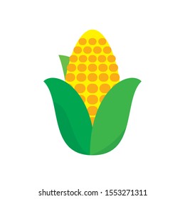 Corn vector illustration with simple flat design isolated on white background. Corn icon