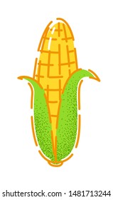 Corn. Vector illustration of a tasty autumn vegetable in flat and line-art style for print, banner or postcard.