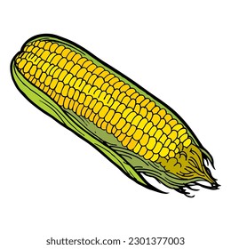 corn vector illustration,isolated on white background,top view