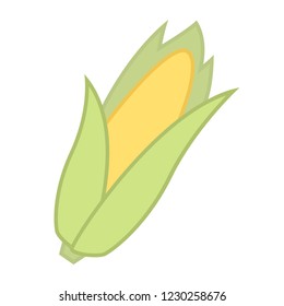 Corn, vector isolated illustration on white background