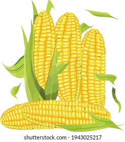 Corn Vector Isolated On White Stock Vector (Royalty Free) 1943025217 ...