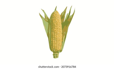 Corn vector isolated on white background