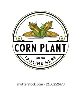 corn vector logo vintage design. corn plant theme for agriculture, corn farmer