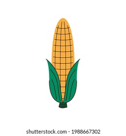 Corn vector. Corn on white background.  corn cartoon vector.