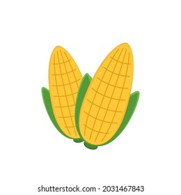 Corn vector. Corn on white background. corn cartoon vector.