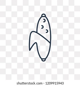 Corn vector outline icon isolated on transparent background, high quality linear Corn transparency concept can be used web and mobile