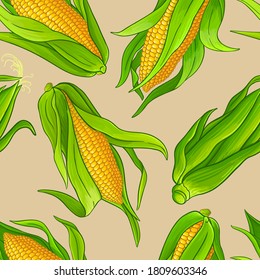 corn vector pattern on color background