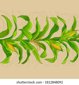 corn vector pattern on color background