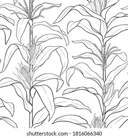 corn vector pattern on white background