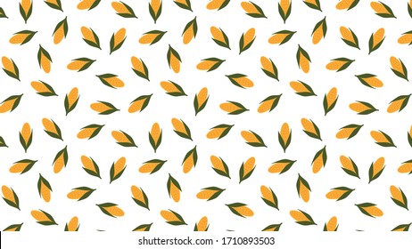 Corn vector. Corn pattern wallpaper. Corn on white background.