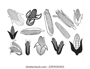 Corn Vector For Print, Corn Clipart, Corn vector Illustration