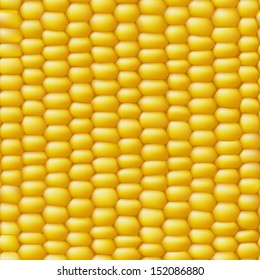 Corn vector seamless realistic texture