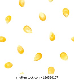 Corn vector seeds isolated on white background. Corn seamless vector pattern. Bakery spices.