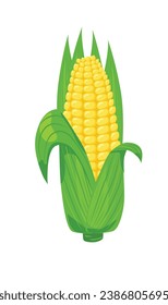 Corn vector set. Corn on the cob. Corn cob cartoon. Organic food, vegetables concept. Flat vector in cartoon style isolated on white background.