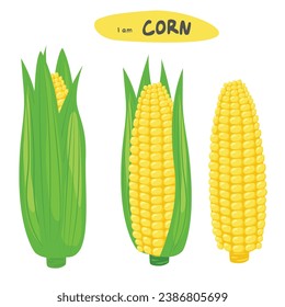 Corn vector set 