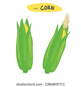 Corn vector set. Corn on the cob. Corn cob cartoon. Organic food, vegetables concept. Flat vector in cartoon style isolated on white background.