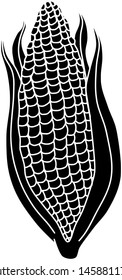 Corn Vector Vegetable Black and White Illustration