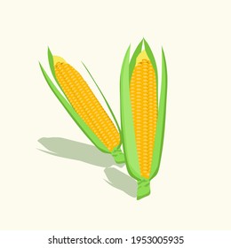 corn. corn vector. vegetables. ingredients