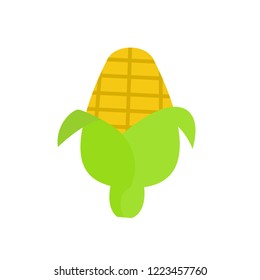 corn vector,corn icon.vector icon