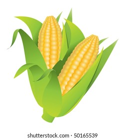 corn vegetable