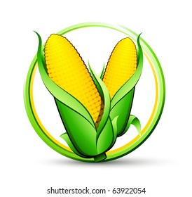 corn vegetable