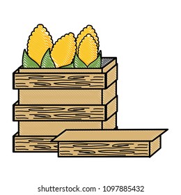 Corn vegetable design