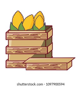 Corn vegetable design