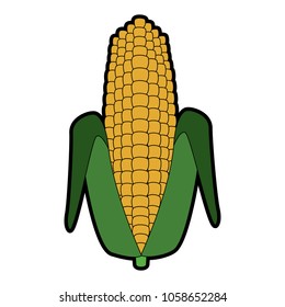 Corn vegetable food