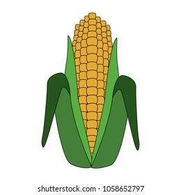 Corn vegetable food