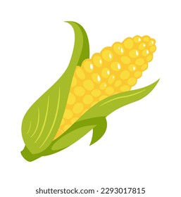 Corn vegetable illustration Mexican cuisine design element. Vector illustration