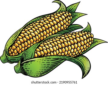 Corn vegetable illustration in a vintage retro woodcut etching style.